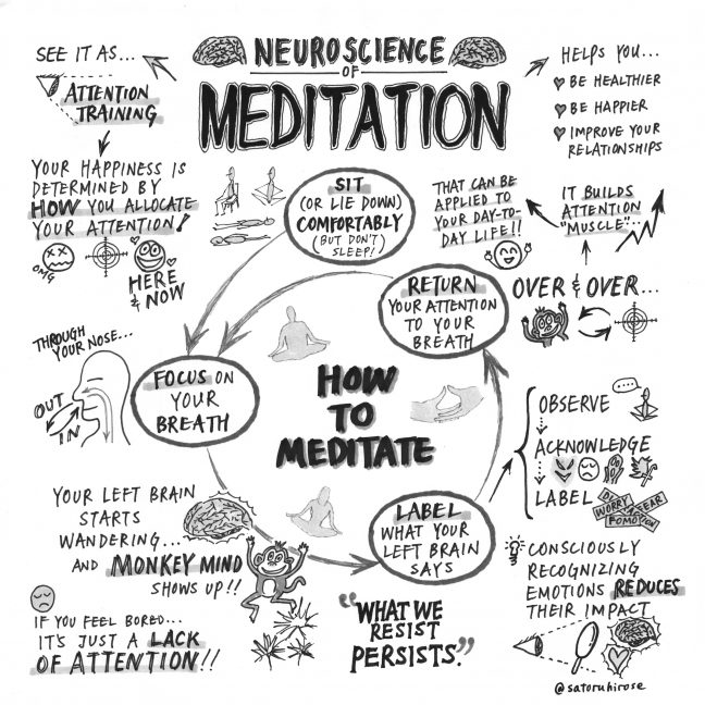bakadesuyo.com - Neuroscience of Meditation