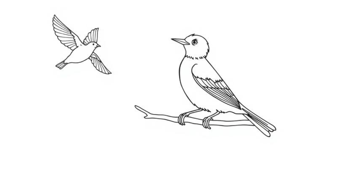 Mockingbird Drawing Outline: Simple Step-by-Step Guide